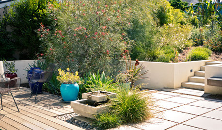 Patio of the Week: Casual Backyard Delights the Senses