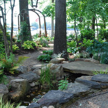 Backyard landscape