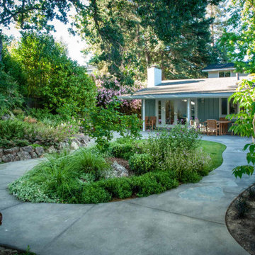 Woodland Garden Under Oaks