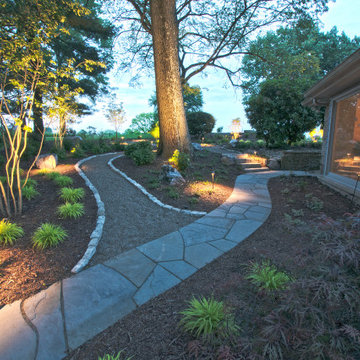 Woodland Garden with Natural Pathways