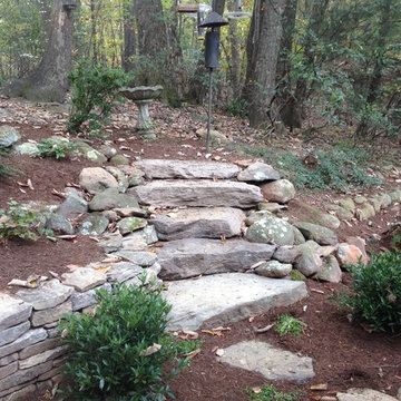 Woodland Garden with Stone Walls and Steps