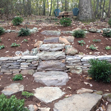 Woodland Garden with Stone Walls and Steps