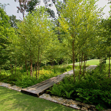 Woodland Rain Gardens
