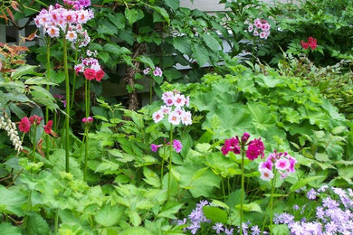 Photo of a traditional garden path in Boston.