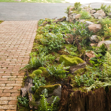 Woodland Twist to A Front Entrance Garden