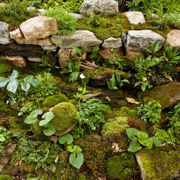 Woodland Twist to A Front Entrance Garden