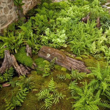 Woodland Twist to A Front Entrance Garden