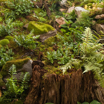 Woodland Twist to A Front Entrance Garden