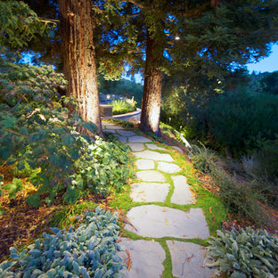This is an example of a mid-sized traditional backyard stone landscaping in San Francisco.