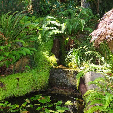 Woodside Woodland Gardens