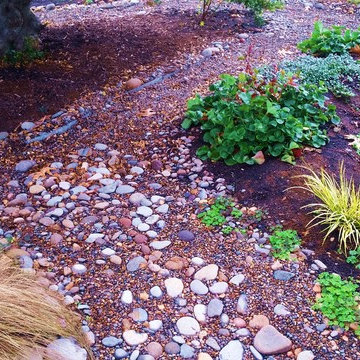 Woodstock Craftsman Cottage Rain Garden
