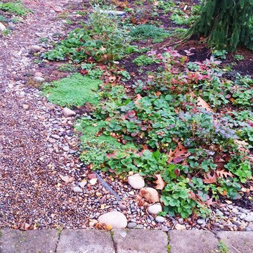Woodstock Craftsman Cottage Rain Garden