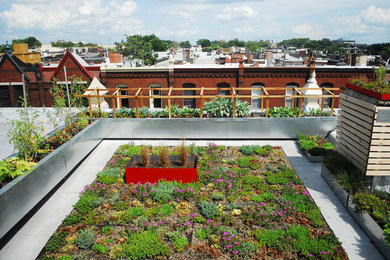 Esempio di un piccolo orto in giardino moderno sul tetto