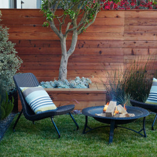 Mittelgroßer, Halbschattiger Moderner Garten hinter dem Haus mit Feuerstelle in San Francisco