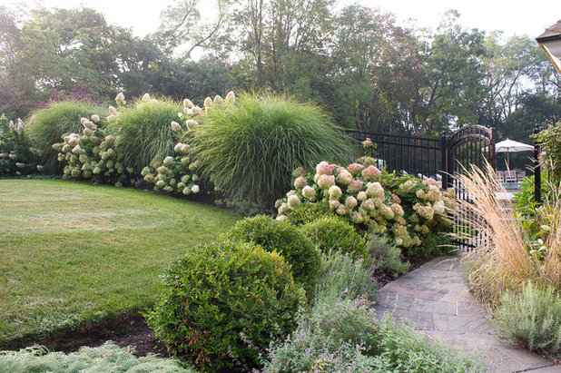 Traditional Garden by Amy Martin Landscape Design