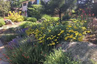 Imagen de jardín de secano de estilo americano pequeño en patio delantero con exposición total al sol y adoquines de piedra natural