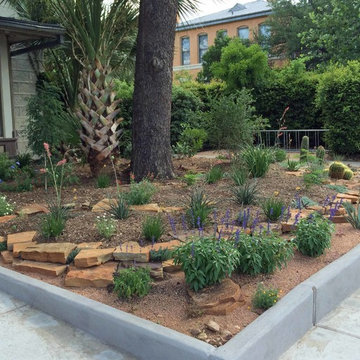 Xeriscape #1