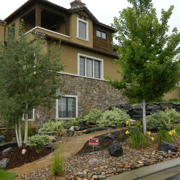 Xeriscape & Landscape Design