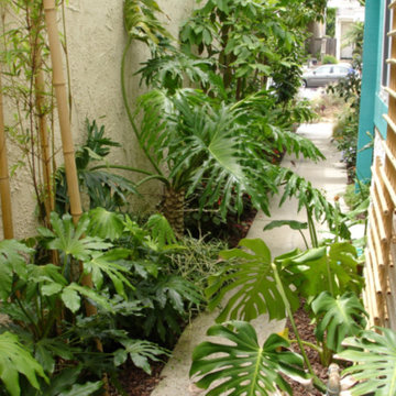 Xeriscape Garden, Jungle Forest Garden, Vegetable Garden & Subtropical Garden