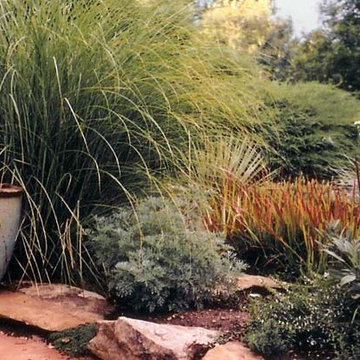 Xeriscape - It's about Color and Texture