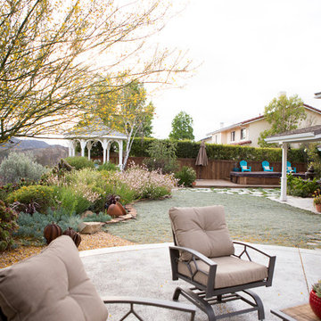 Xeriscape Landscape  - Lush Green with Low-Water Plants