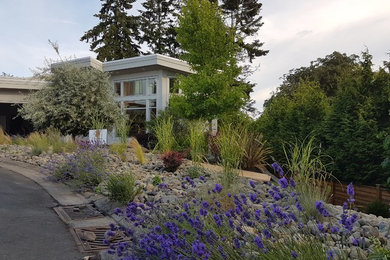 他の地域にあるお手頃価格の中くらいなコンテンポラリースタイルのおしゃれな前庭 (ゼリスケープ、日向、砂利舗装) の写真