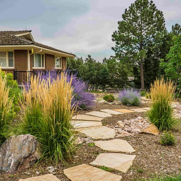 Xeriscape Projects