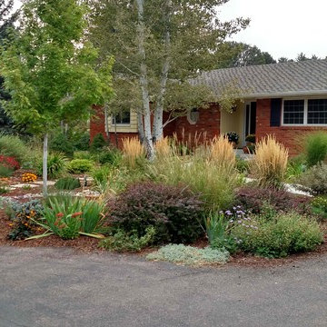 Xeriscape Projects