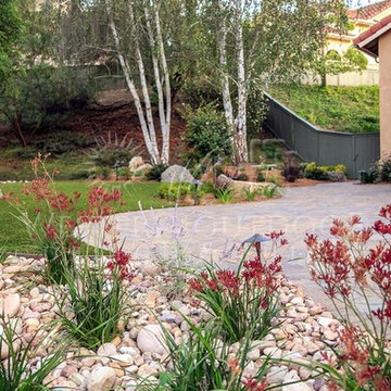 Xeriscape: Western Outdoor Designs