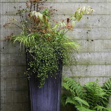 Yarrow Point Residence