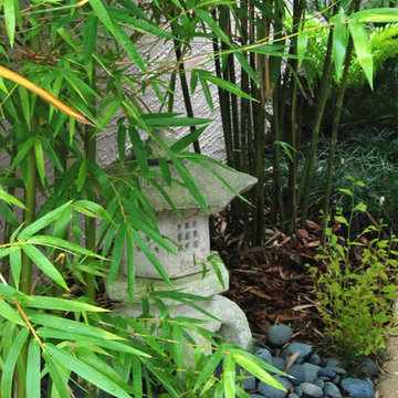 Yoga Meditation Garden