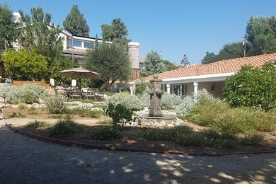 This is an example of a large eclectic backyard landscaping in Orange County.