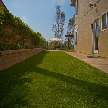 Side Yard Lawn