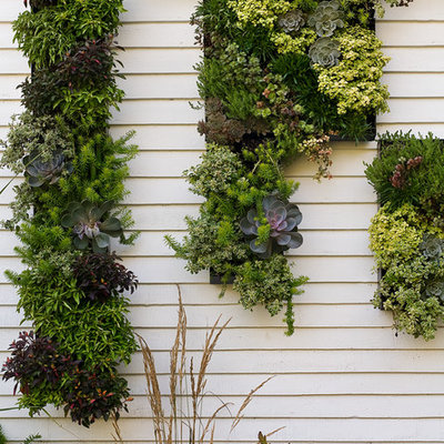 This is an example of a mid-sized contemporary side yard brick landscaping in Portland Maine.