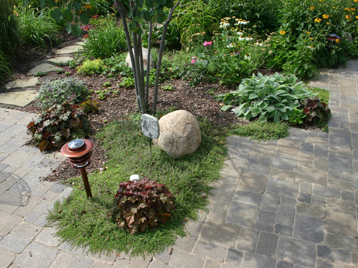 Traditional Landscape