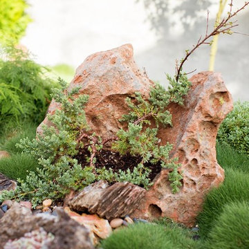 Zen Garden and Asian Inspired Landscape Plants