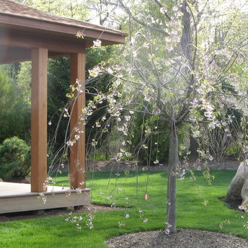 Zen Garden w Yoga & Amethyst Meditation Pavilion