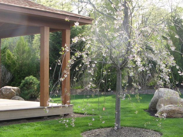 Orientale Giardino Zen Garden w Yoga & Amethyst Meditation Pavilion