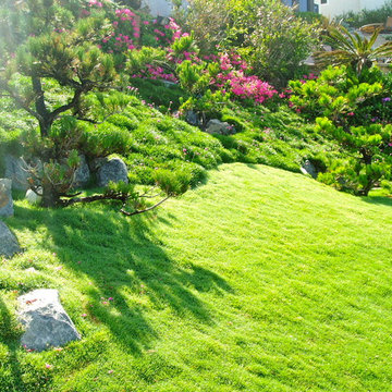 Zen, koi, floating steps, beach plantings, bungalow