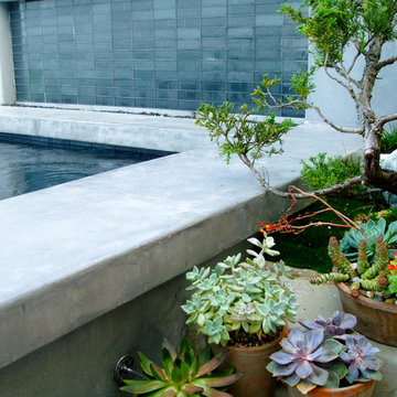 Zen, koi, floating steps, beach plantings, bungalow