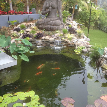 Zen Koi Pond