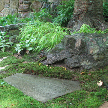 Zen Moss Garden