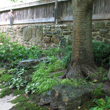 Zen Moss Garden
