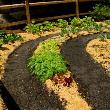 Zen Vegetable Garden… to die for!