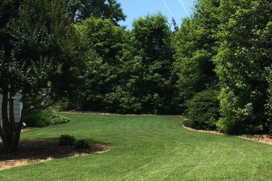 Photo of a large traditional full sun side yard landscaping in Raleigh for summer.
