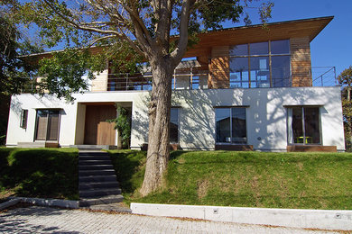 Пример оригинального дизайна: летний участок и сад среднего размера на переднем дворе в стиле модернизм