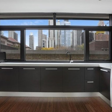 Chicago Renovation & Addition