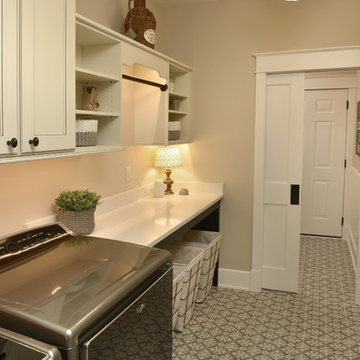 Des Moines, IA – Remodel - Transitional