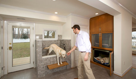 A Laundry Room With Bunk Beds and a Shower for Muddy Dogs