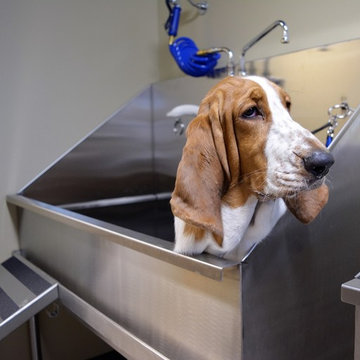 Dog Grooming Sinks